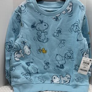 Peanuts Light Blue Snoopy & Woodstock Pullover Sweatshirt for Kids